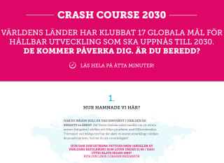 Crash Course 2030